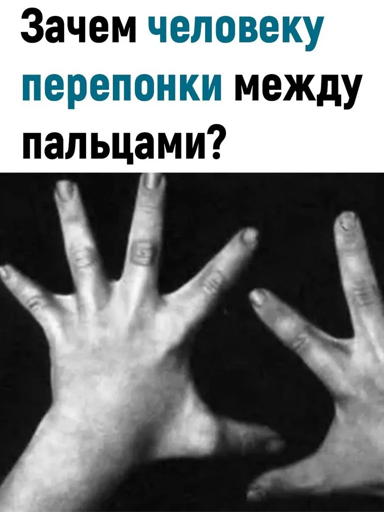 Это интересно!