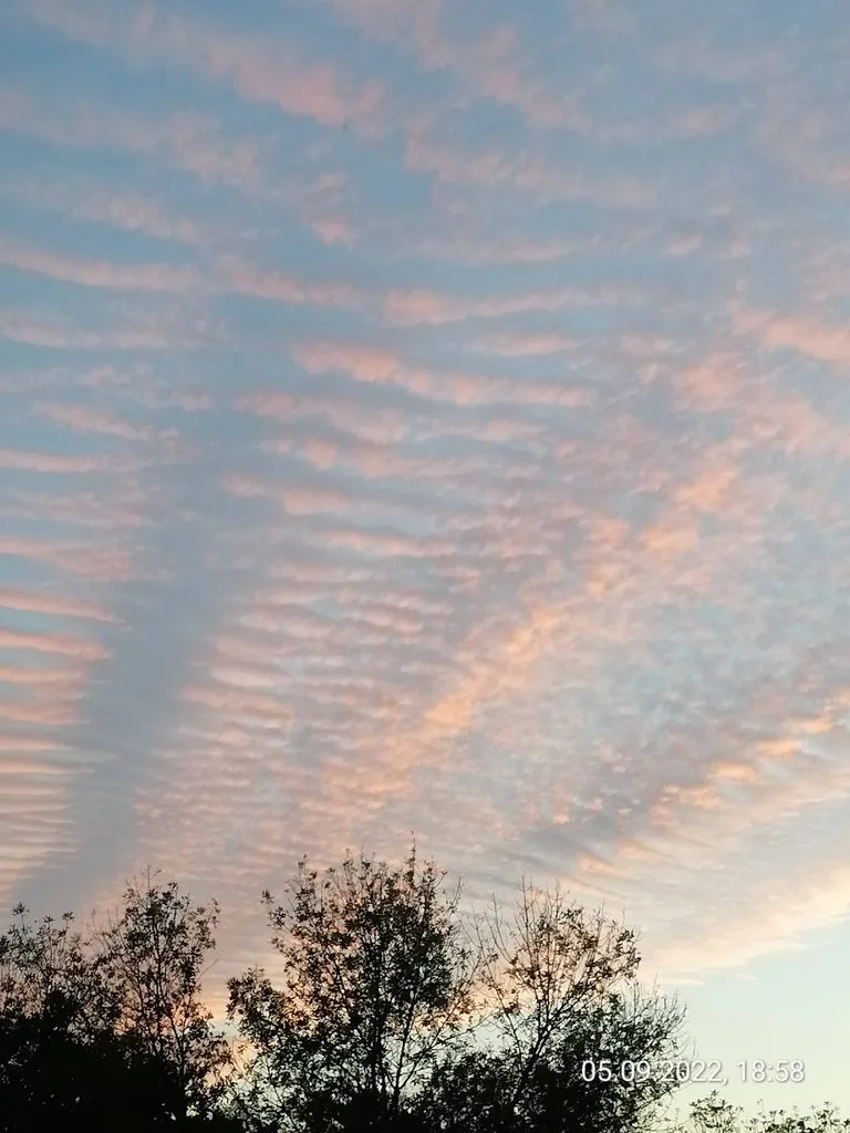 Чайная беседка