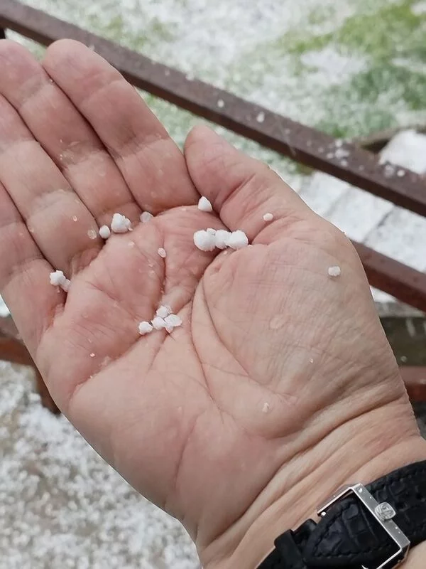 Чайная беседка