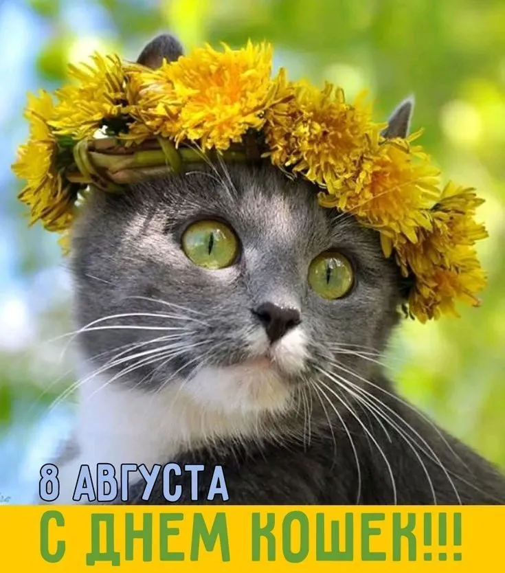 Кафе «У пани Сони»
