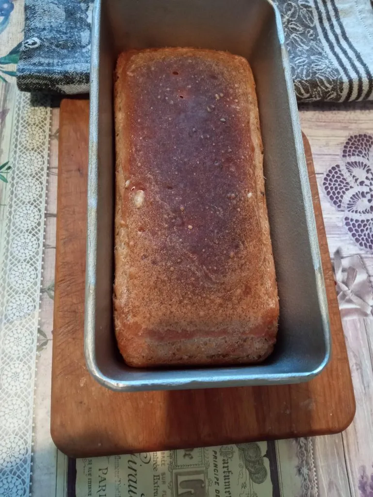 Хлеб амурский заливной