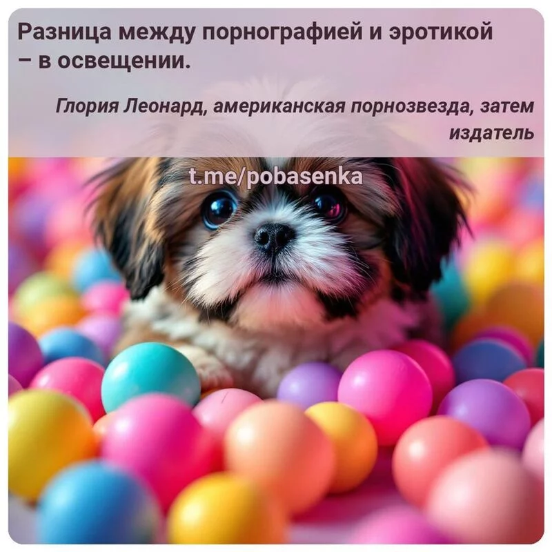 «Разница между порнографией и эротикой в...» height="550" width="550"