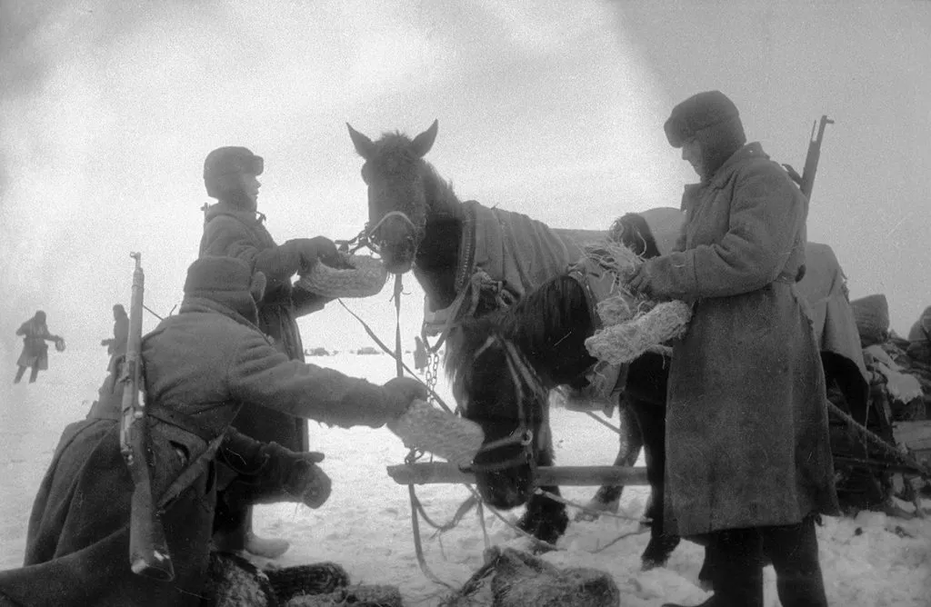 Запечатленная история