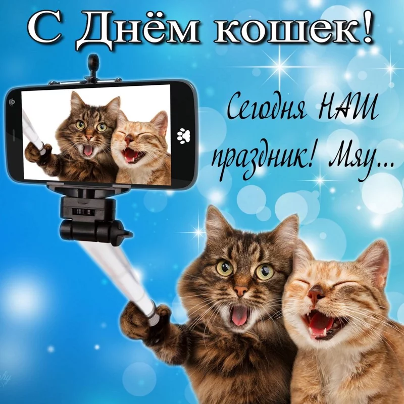 Кафе "У пани Сони"