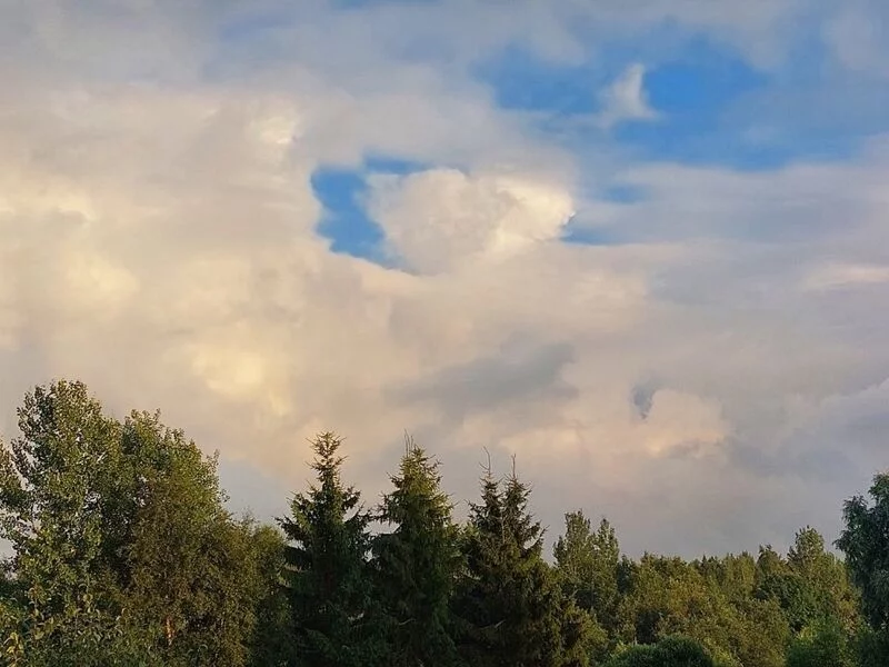 Такое разное небо