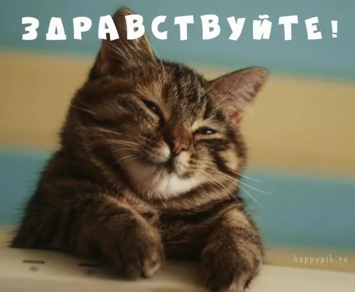 Кафе «У пани Сони»