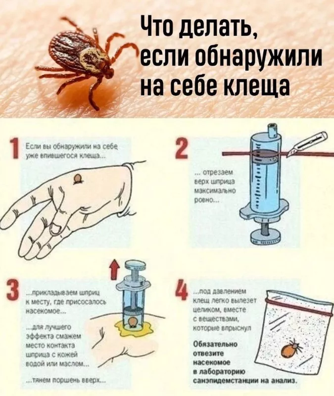 Медицинская инфографика