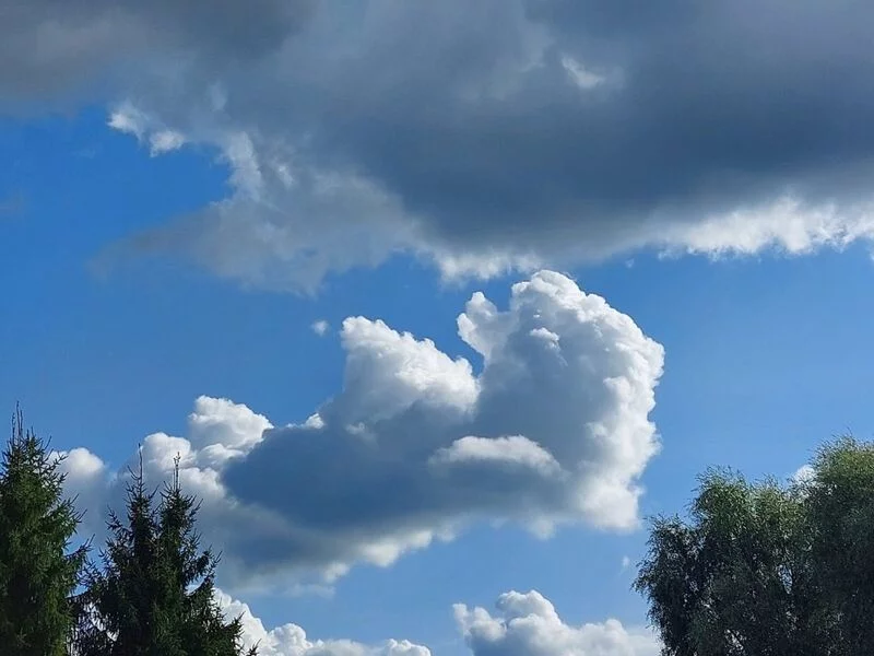 Такое разное небо