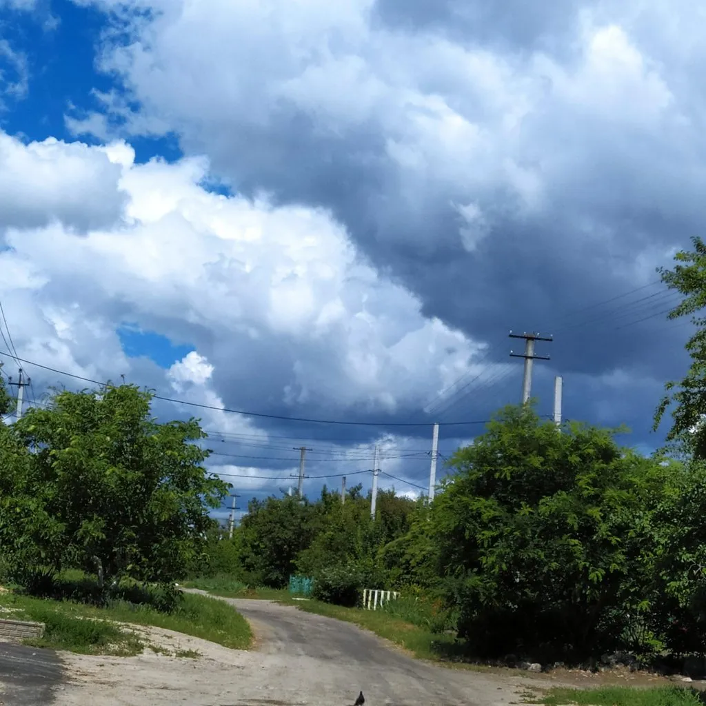 Чайная беседка