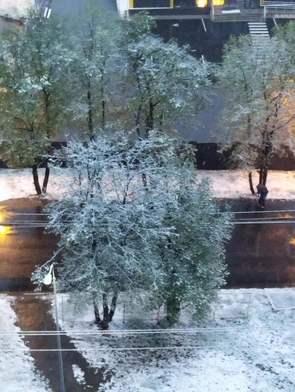 Чайная беседка