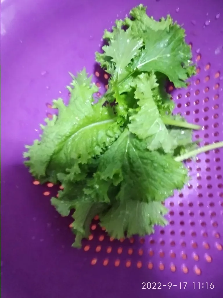 Кафе «У пани Сони»