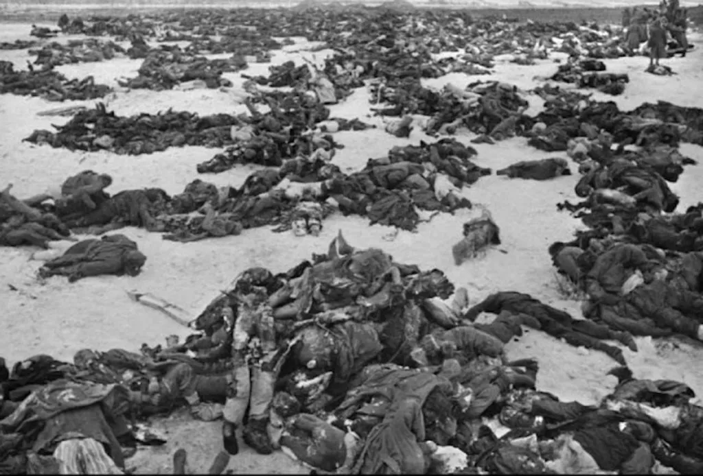 Запечатленная история