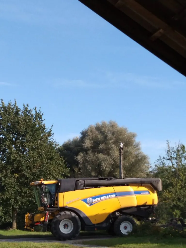 Чайная беседка