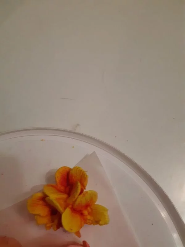 Зефирные букеты и композиции