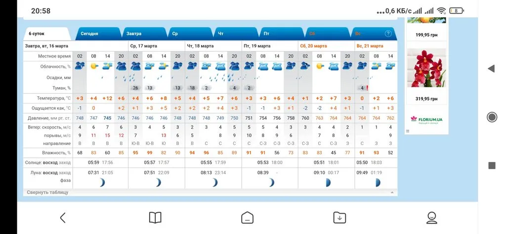 Чайная беседка