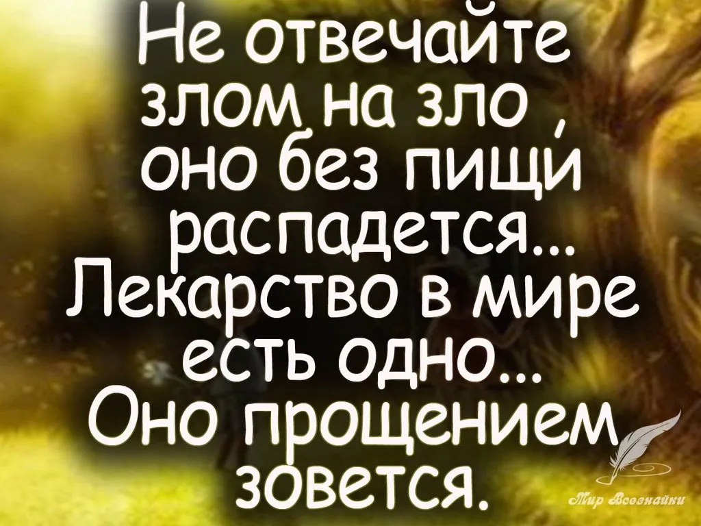 Лаконичная мудрость