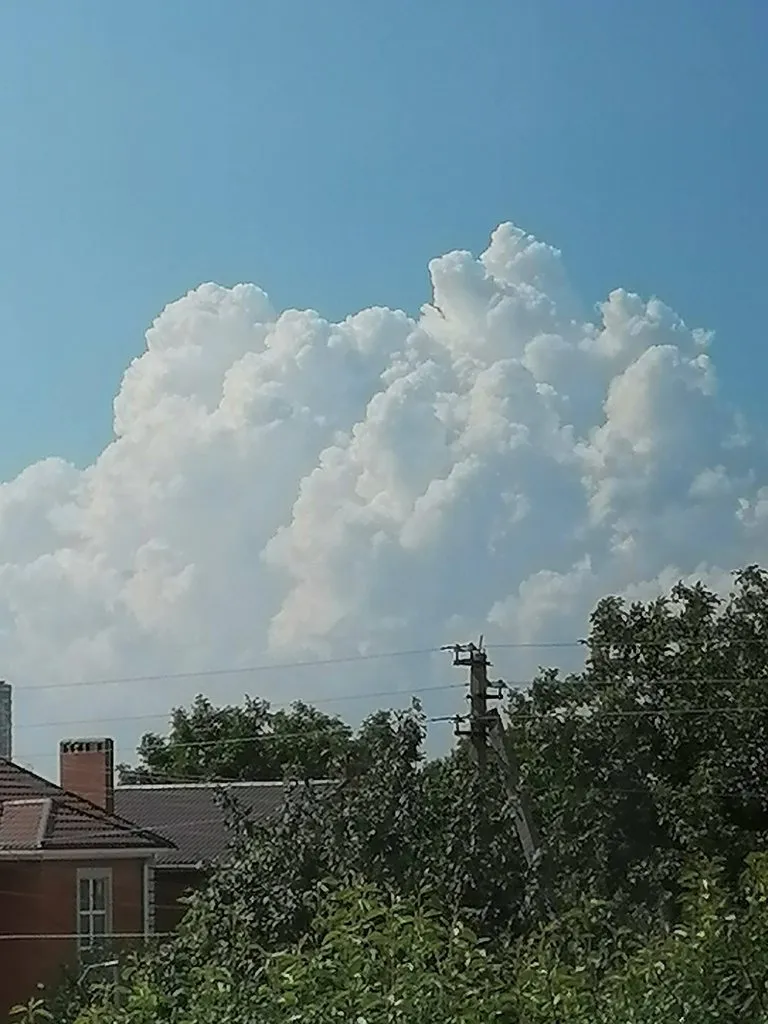 Чайная беседка