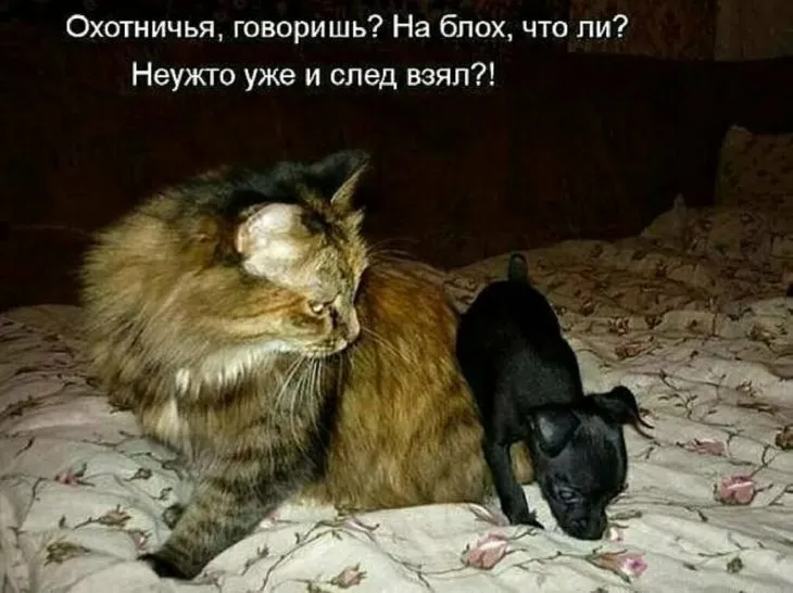 Посмеялся сам - поделись с другом!!!
