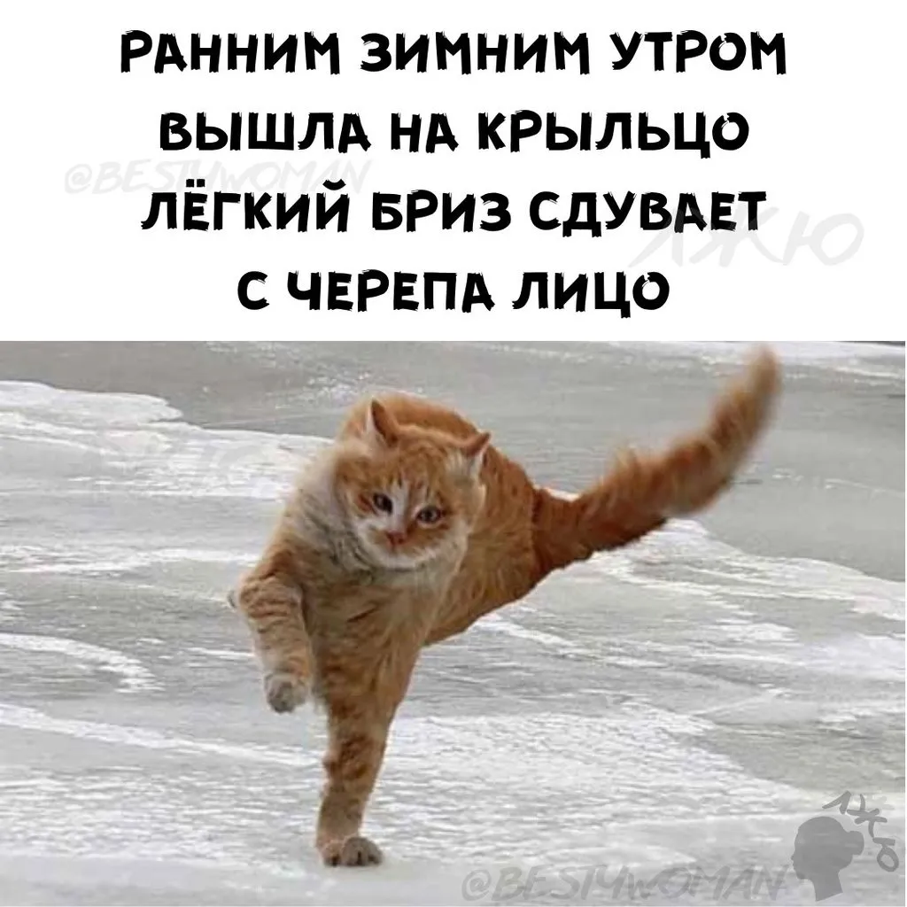 Кафе "У пани Сони"