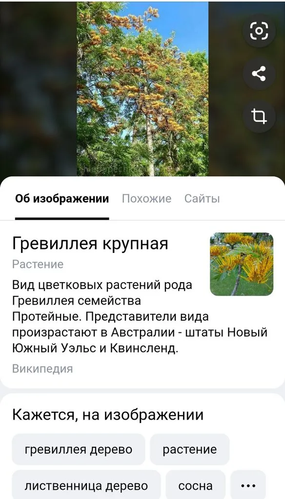 Про всё на свете с Гюзелью