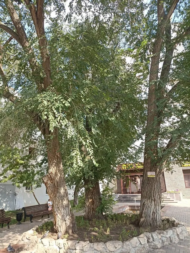       Ах, Самара - городок... 