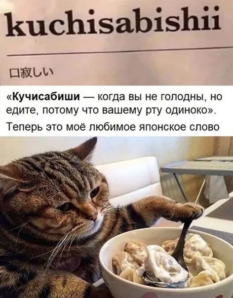 Посмеялся сам - поделись с другом!!!