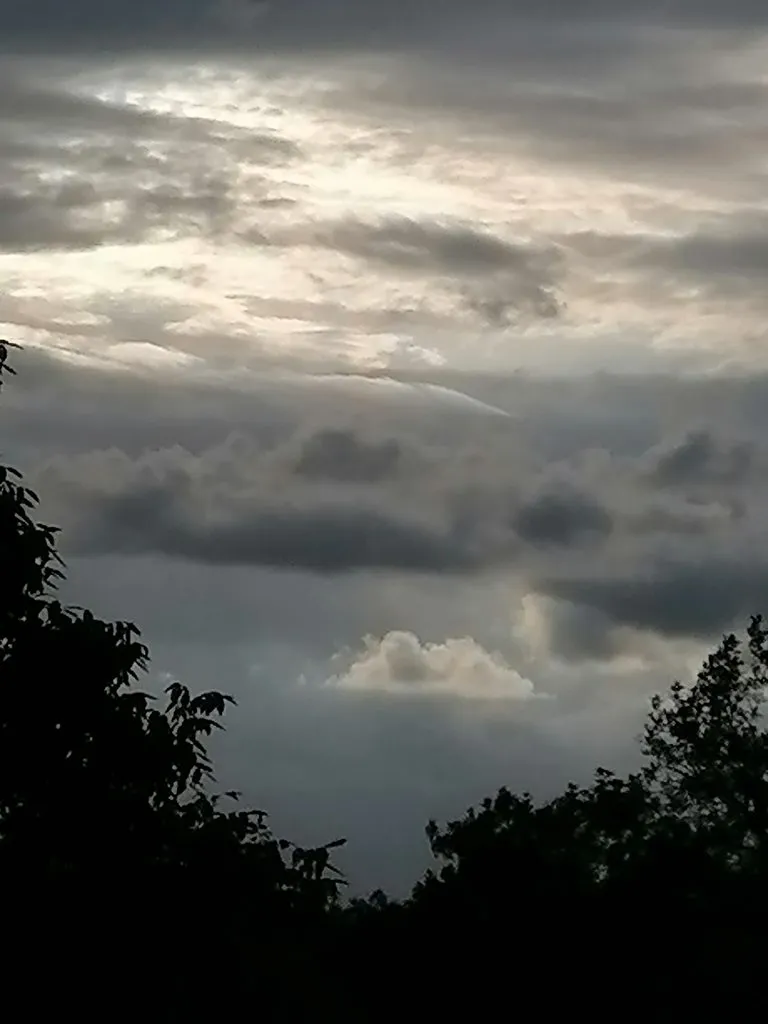 Чайная беседка