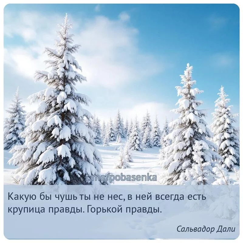 «Какую бы чушь ты не нес, в ней всегда есть крупица правды. Горькой...» height="550" width="550"