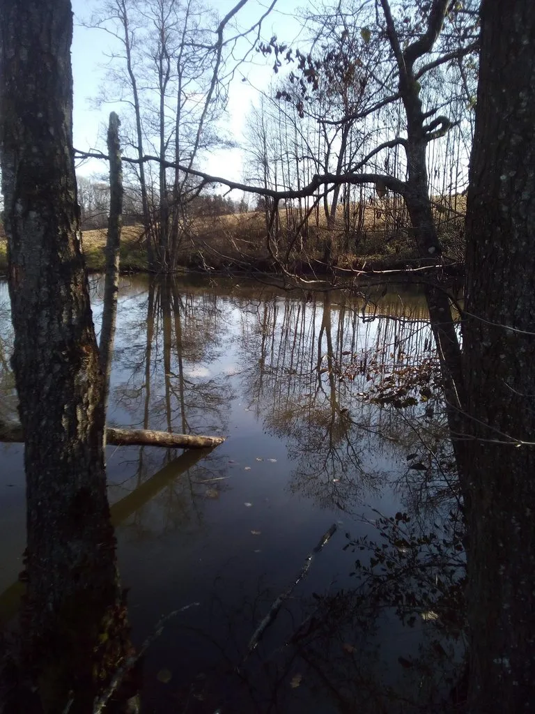 Чайная беседка