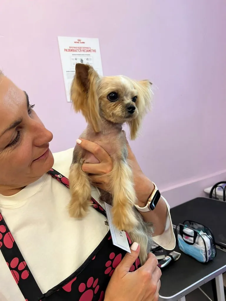 Чайная беседка