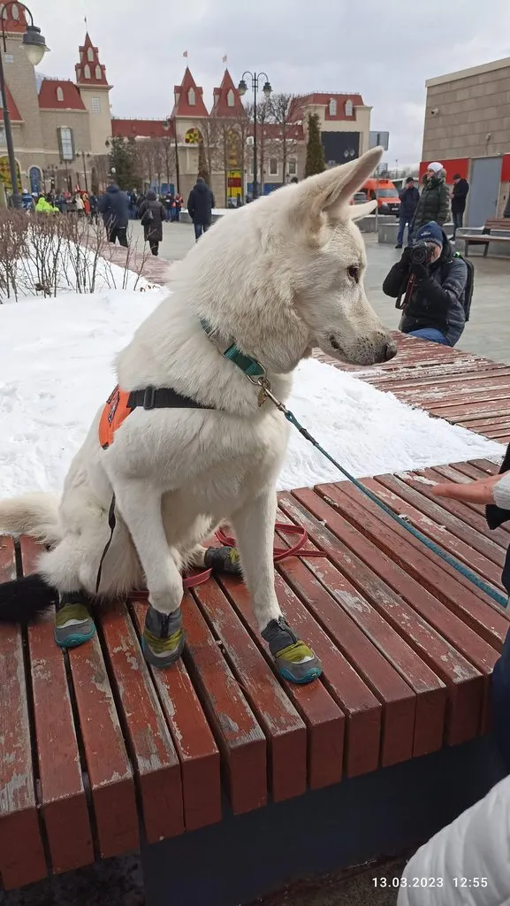 Москва: дресс-код и интересные места