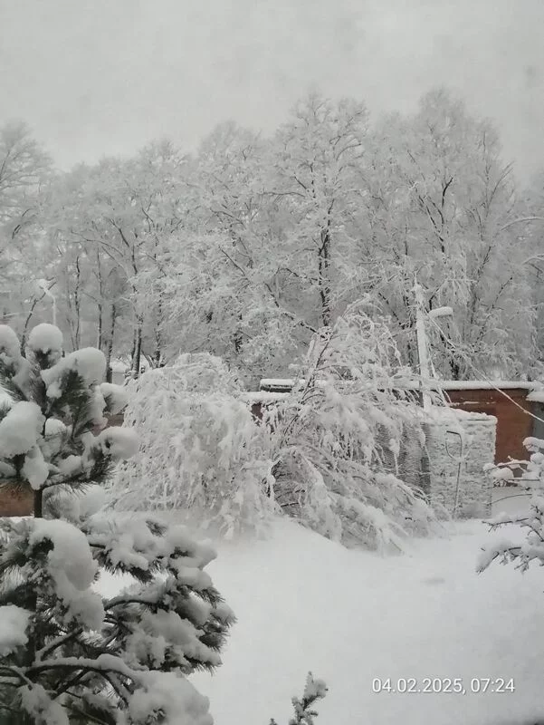 Чайная беседка