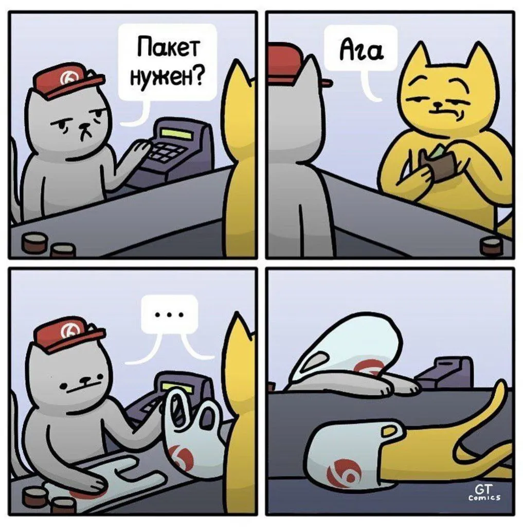 Кошичкина полиция
