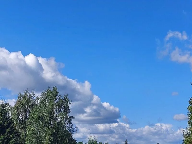 Такое разное небо