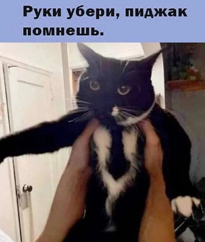 Посмеялся сам - поделись с другом!!!