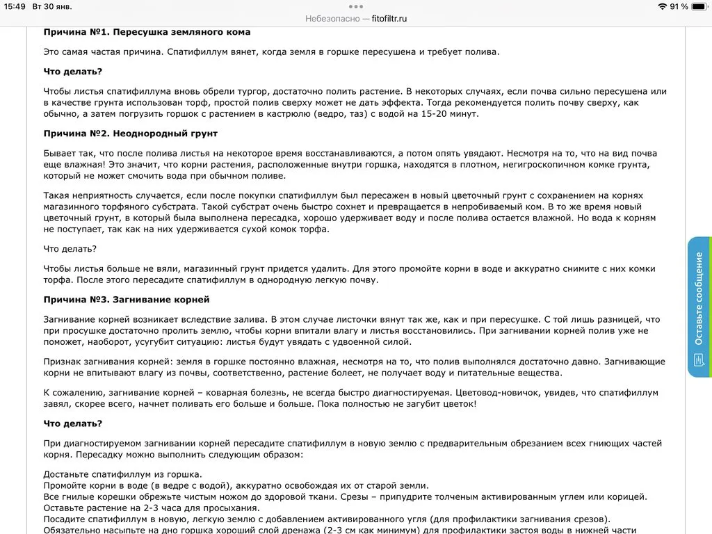 Цветочки: моем, пересаживаем, подкармливаем... (всё о комнатных растениях)