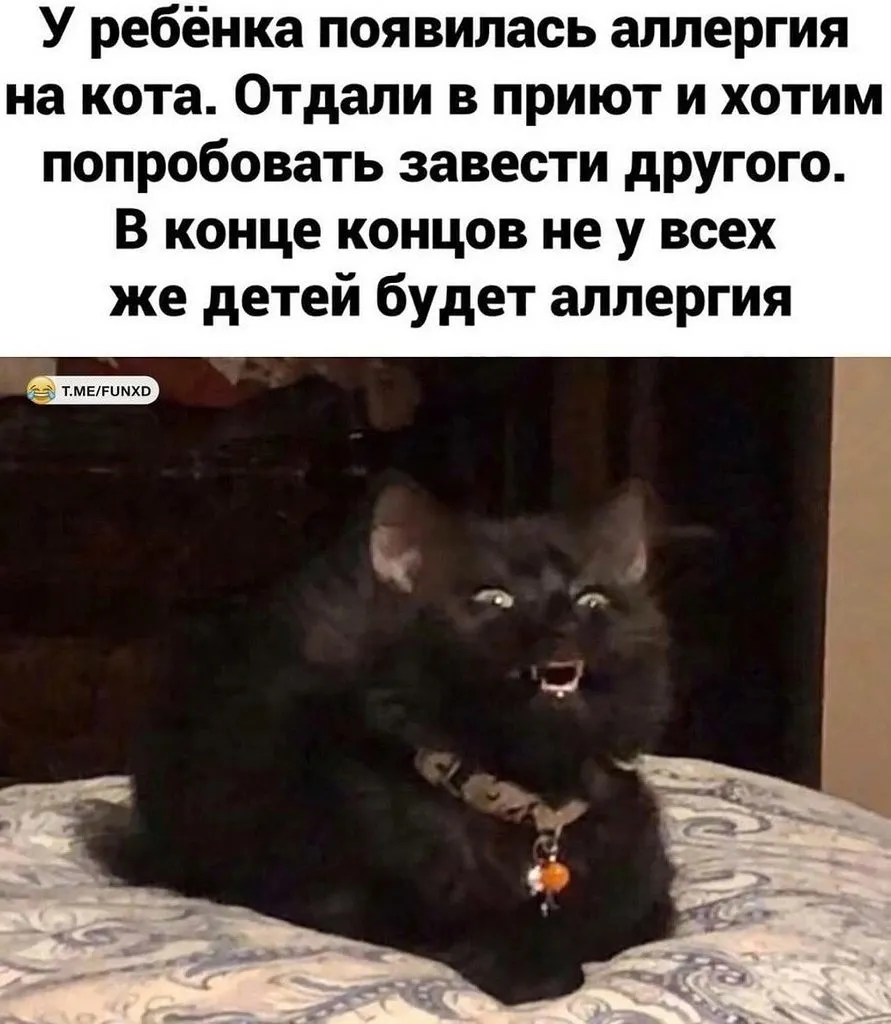 Очень нужна ваша помощь и моральная поддержка, пристрой животных, плАчу.