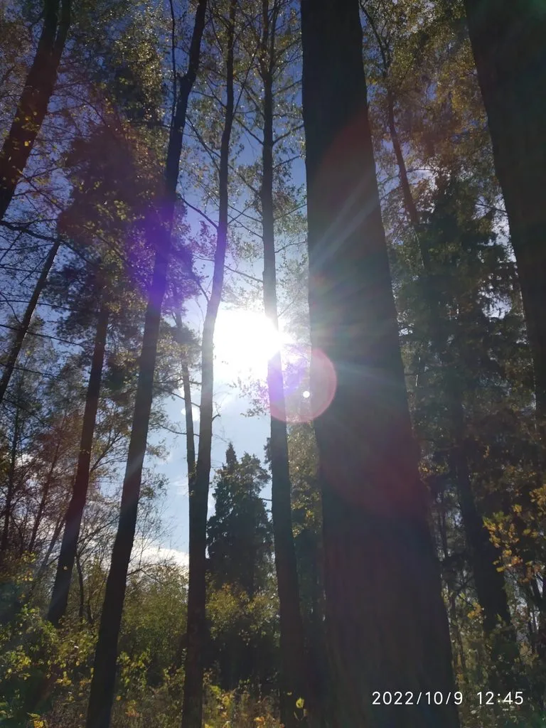 Чайная беседка