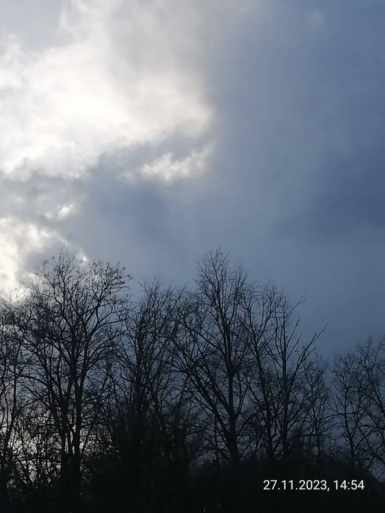 Такое разное небо