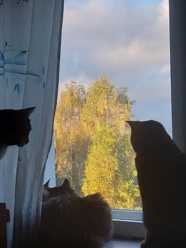 Такое разное небо