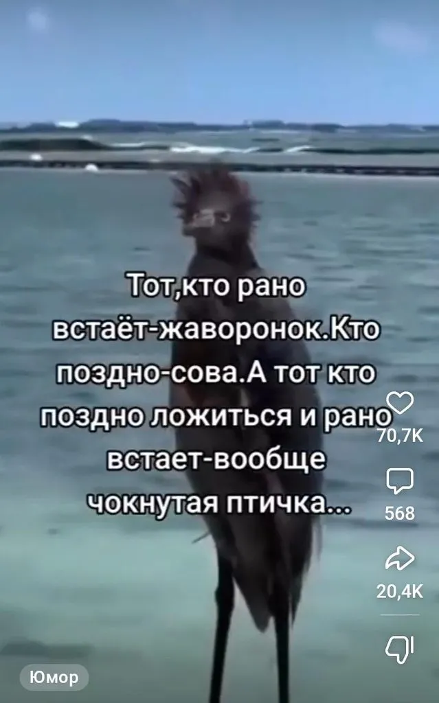Кафе "У пани Сони"