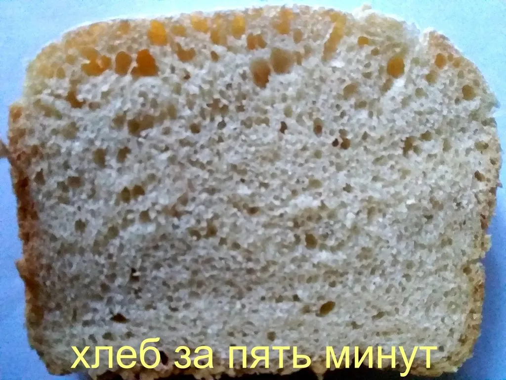 Тесто для лепёшек, пиццы, хачапури "за 5 минут в день"