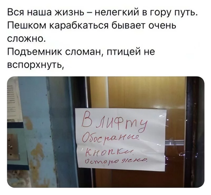 Всюду рифмы