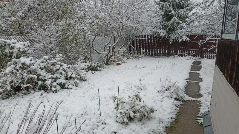 Чайная беседка