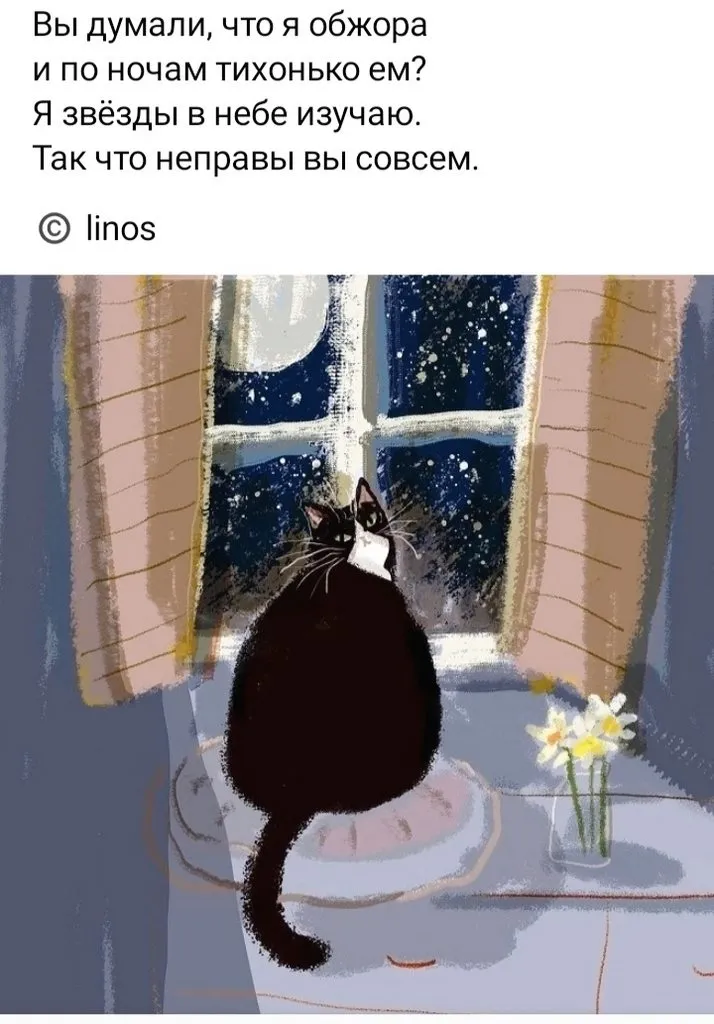 Кошичкина полиция