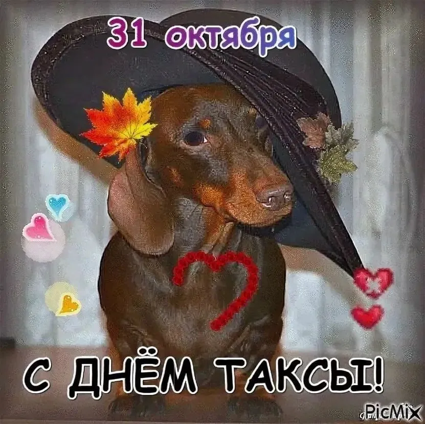 Живой Журнал Жульена