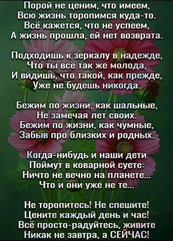 Любимые стихи