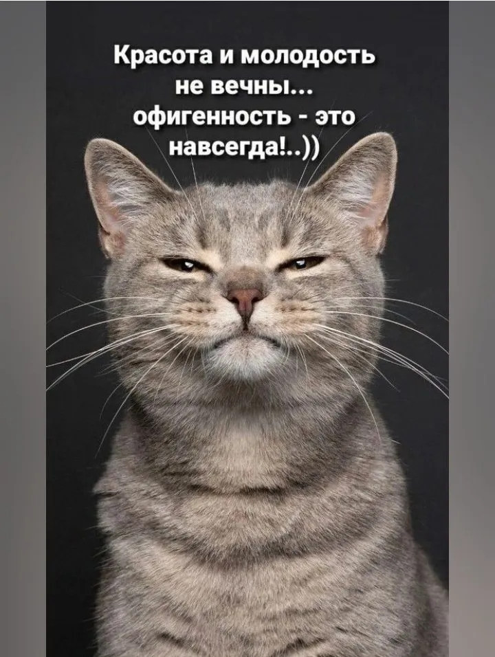 Кошичкина полиция