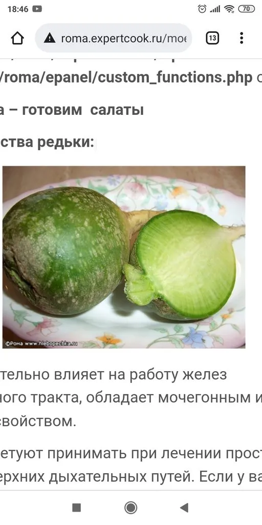 Tapтaлeтки & Ко