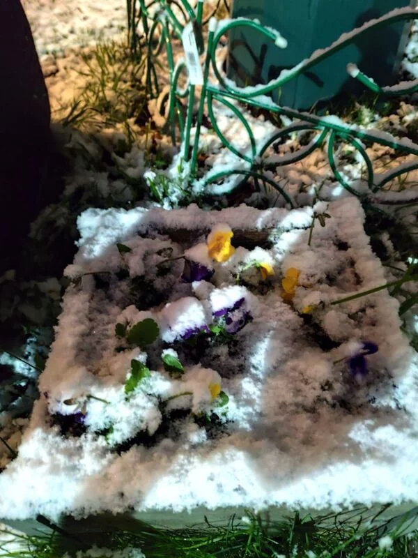 Загородная жизнь - обустройство на своей земле во всем ее разнообразии